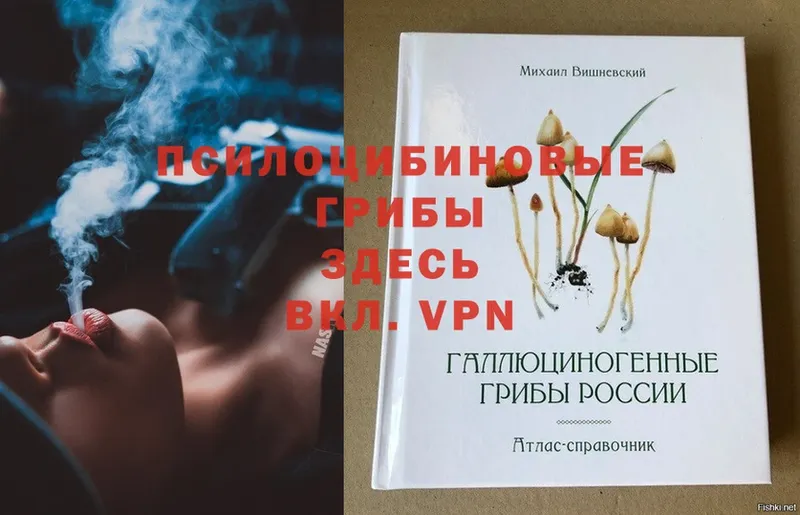 Галлюциногенные грибы Psilocybine cubensis  Воронеж 